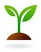 CG-logo-small
