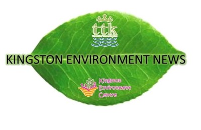TTK join forces with KEC to edit Kingston Environment News