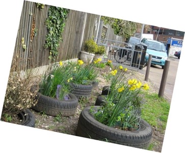 Broadoaks community garden, Transition Tolworth project