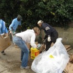 broadoaks litterpick