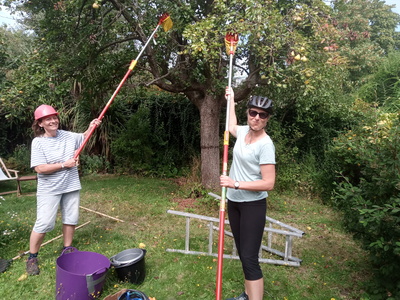 Abundance harvesting, late summer 2019