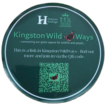 KWW-window-cling