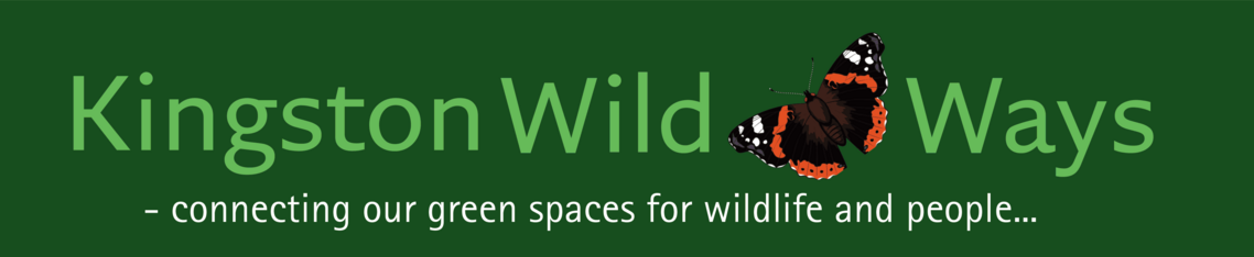 KWWbanner